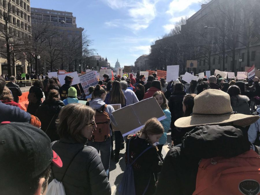 A Glimpse of March For Our Lives
