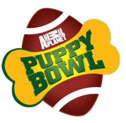 The Puppy Bowl was better than the Super Bowl