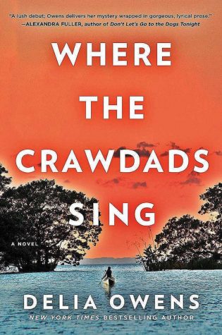 70 year old’s first novel deserves to be a NY Times bestseller