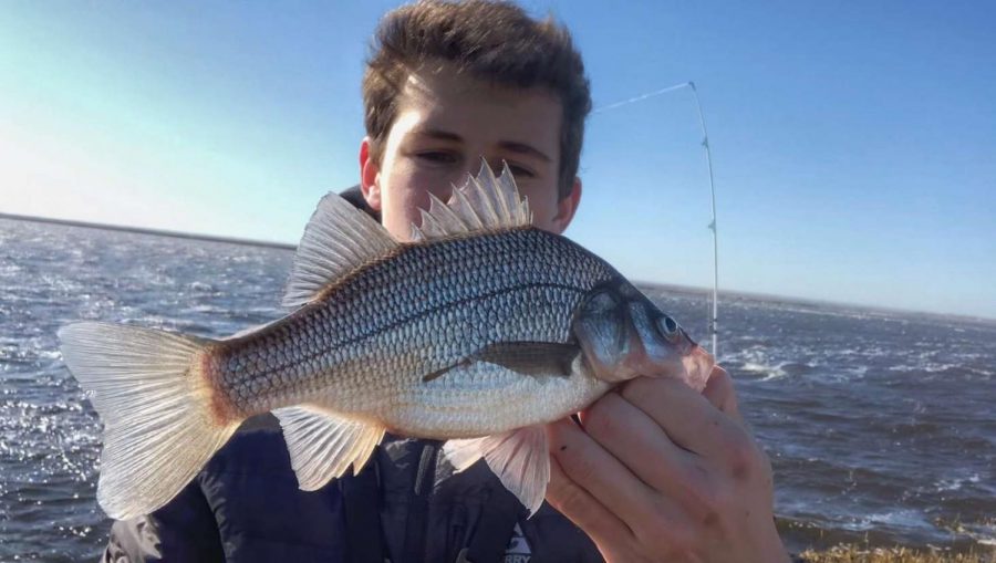 Dillon Lamon holds a white perch, caught on the Great Egg Harbor River from the Sodbanks. “I’m mostly a self-taught fisherman,” he said, “learning from YouTube and the collection of fishing relationships over recent years.”