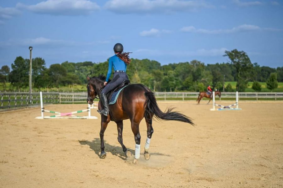 Anna competes at a recent equestrian competition with her horse. 