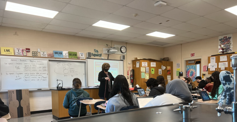 Mrs. Pagenkopf teaches biotechnology to her AP Bio class.