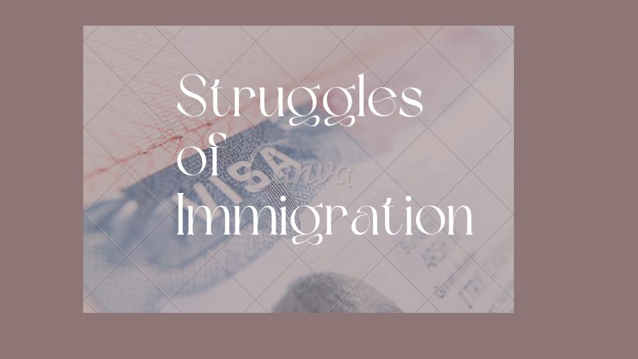 Struggles+of+Immigration