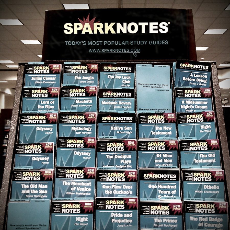 With so many people using SparkNotes as an alternate method to reading for class, teachers can only wonder why this is
