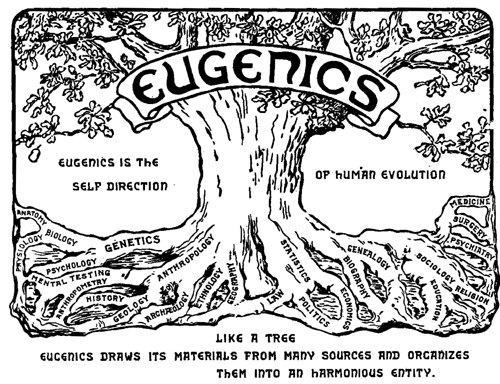 Scientists and doctors would encourage those they believed to be fittest of people to reproduce more in hopes of creating a new generation of humans with more intelligence, strength, beauty, and health.
