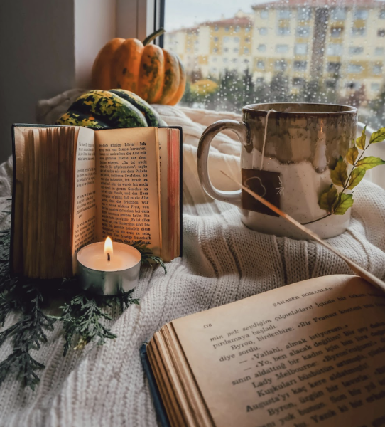 Fall Activities