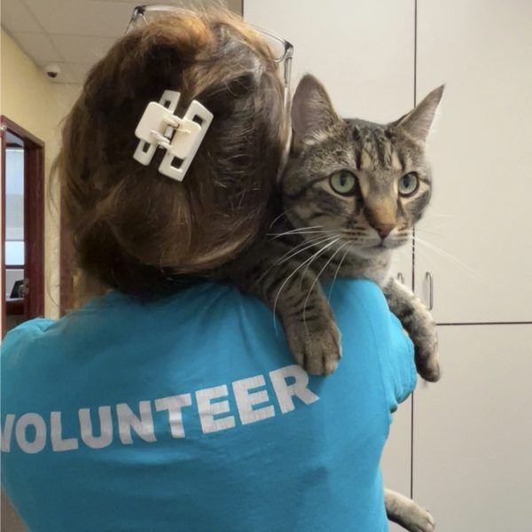 Monadnock Humane Society